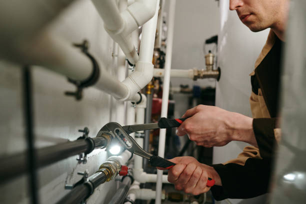 Best Local Plumber Services  in Clio, MI